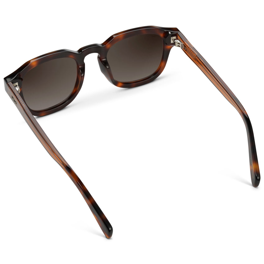 NELSON Retro Thick Framed Polarized Men's Sunglasses in Havana Tortoise by WMP Eyewear