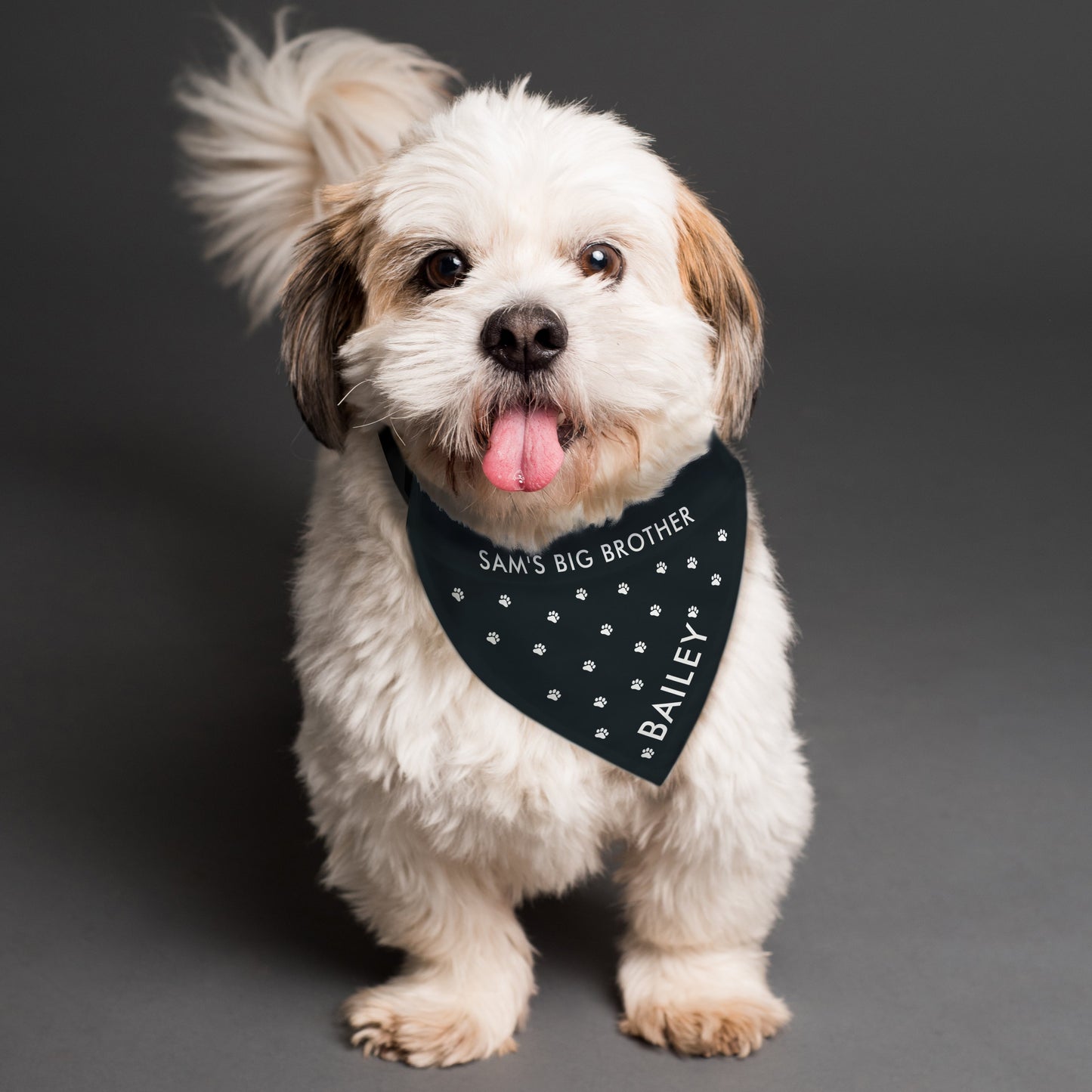 Personalied Paw Print Dog Bandana