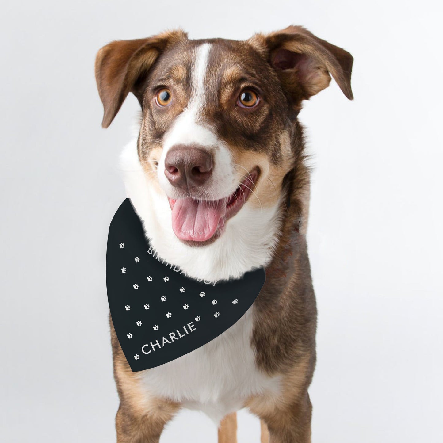 Personalied Paw Print Dog Bandana