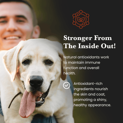 Mushroom Blend - Veterinarian formulated supplement for Dogs and Cats