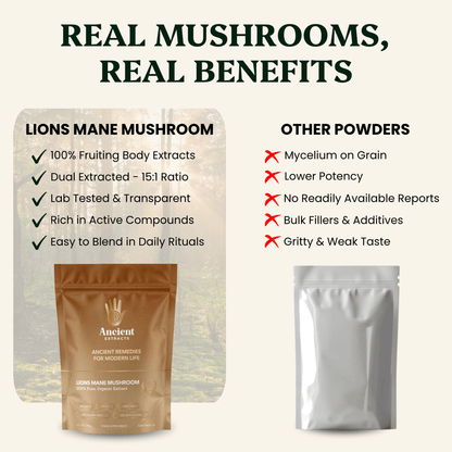 Lion's Mane Mushroom Extract Powder - 30% Beta-glucan (60g)