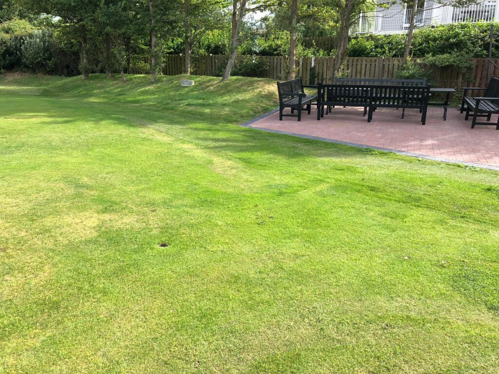 County Hybrid 32 Grass