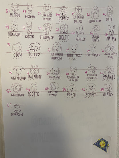 NTB - Personalised dog balls - Puppy faces