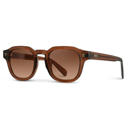 NELSON Retro Thick Framed Polarised Men's Sunglasses in Brown WMP Eyewear