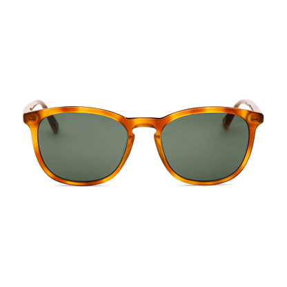 SEAN Havana Tortoise Large Fit Sunglasses by Messy Weekend